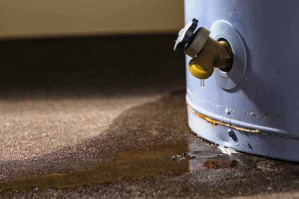 Best Water damage restoration near me  in Sconsin Dells, WI