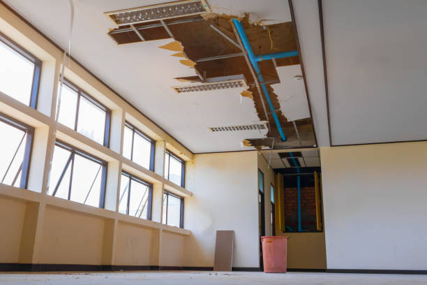 Best Local water damage restoration  in Sconsin Dells, WI