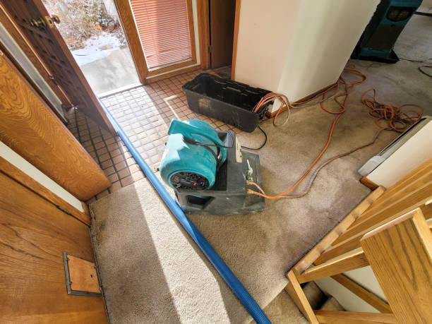Best Ceiling water damage repair  in Sconsin Dells, WI