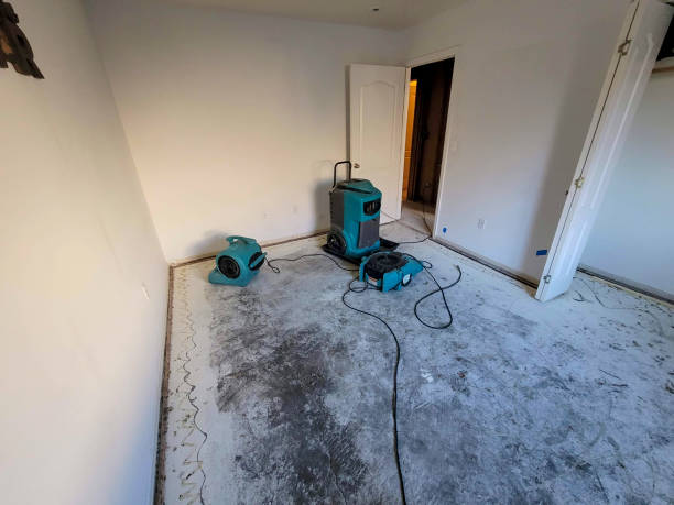 Best Water damage restoration near me  in Sconsin Dells, WI