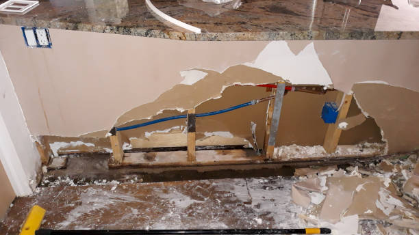 Best Residential water damage restoration  in Sconsin Dells, WI