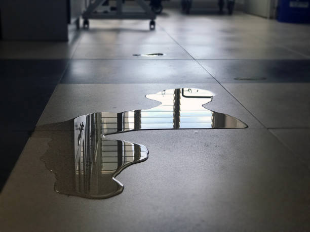 Best Water damage restoration near me  in Sconsin Dells, WI