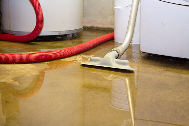 Best Mold removal after water damage  in Sconsin Dells, WI