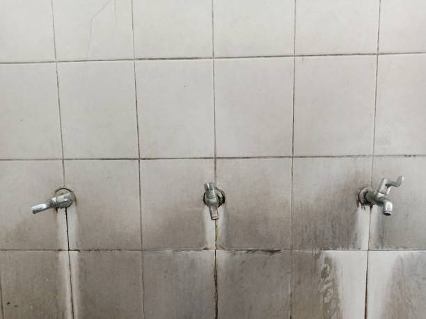 Best Water damage contractors near me  in Sconsin Dells, WI