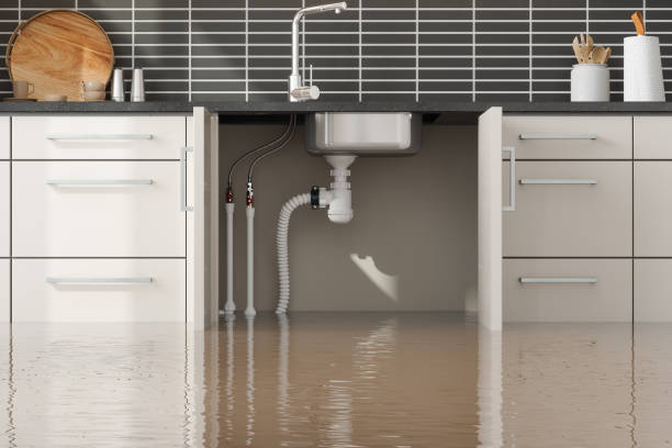 Best Ceiling water damage repair  in Sconsin Dells, WI